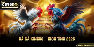 19-da-ga-king88-–-kich-tinh-2025