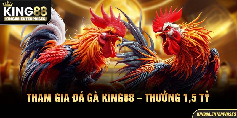 22-tham-gia-da-ga-king88-–-thuong-15-ty