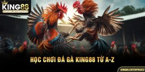 23-hoc-choi-da-ga-king88-tu-a-z