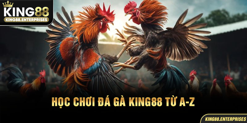23-hoc-choi-da-ga-king88-tu-a-z