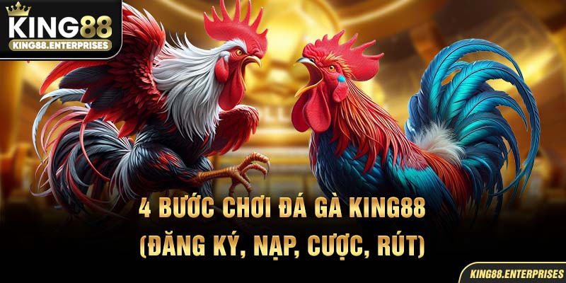 24-4-buoc-choi-da-ga-king88-(dang-ky-nap-cuoc-rut)