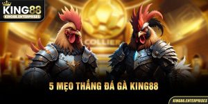 25-5-meo-thang-da-ga-king88
