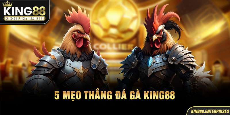 25-5-meo-thang-da-ga-king88