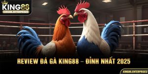 27-review-da-ga-king88-–-dinh-nhat-2025