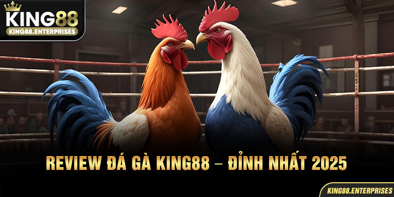 27-review-da-ga-king88-–-dinh-nhat-2025