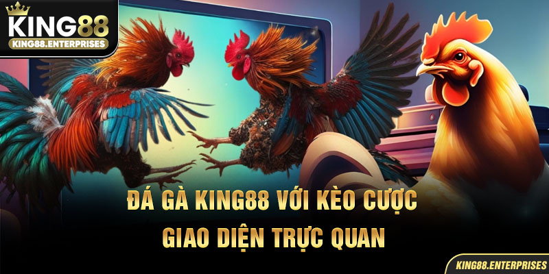 28-da-ga-king88-voi-keo-cuoc-giao-dien-truc-quan