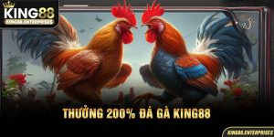 30-thuong-200_-da-ga-king88