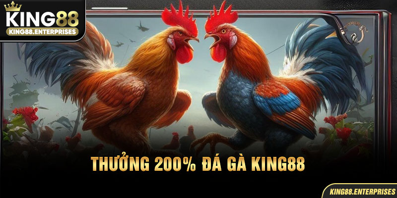 30-thuong-200_-da-ga-king88