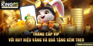 12-thang-cap-vip-voi-huy-hieu-vang-va-qua-tang-kem-theo